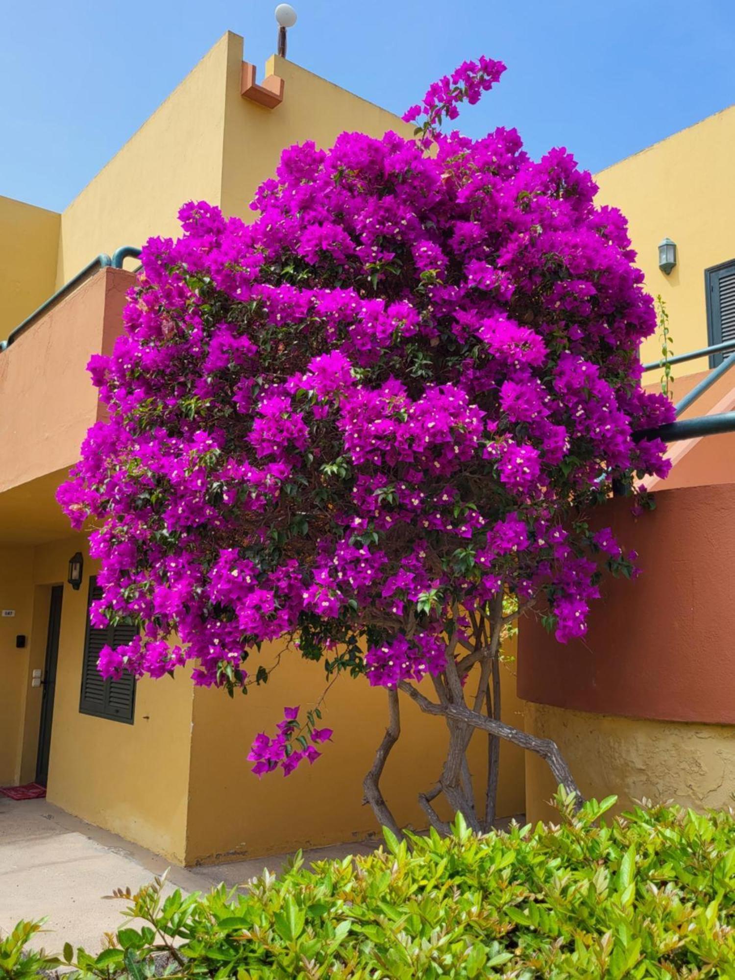 Casa Del Caballero Corralejo Exterior photo